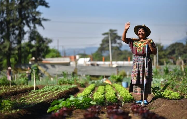 Hoy se conmemora el Día Mundial de las Mujeres Rurales