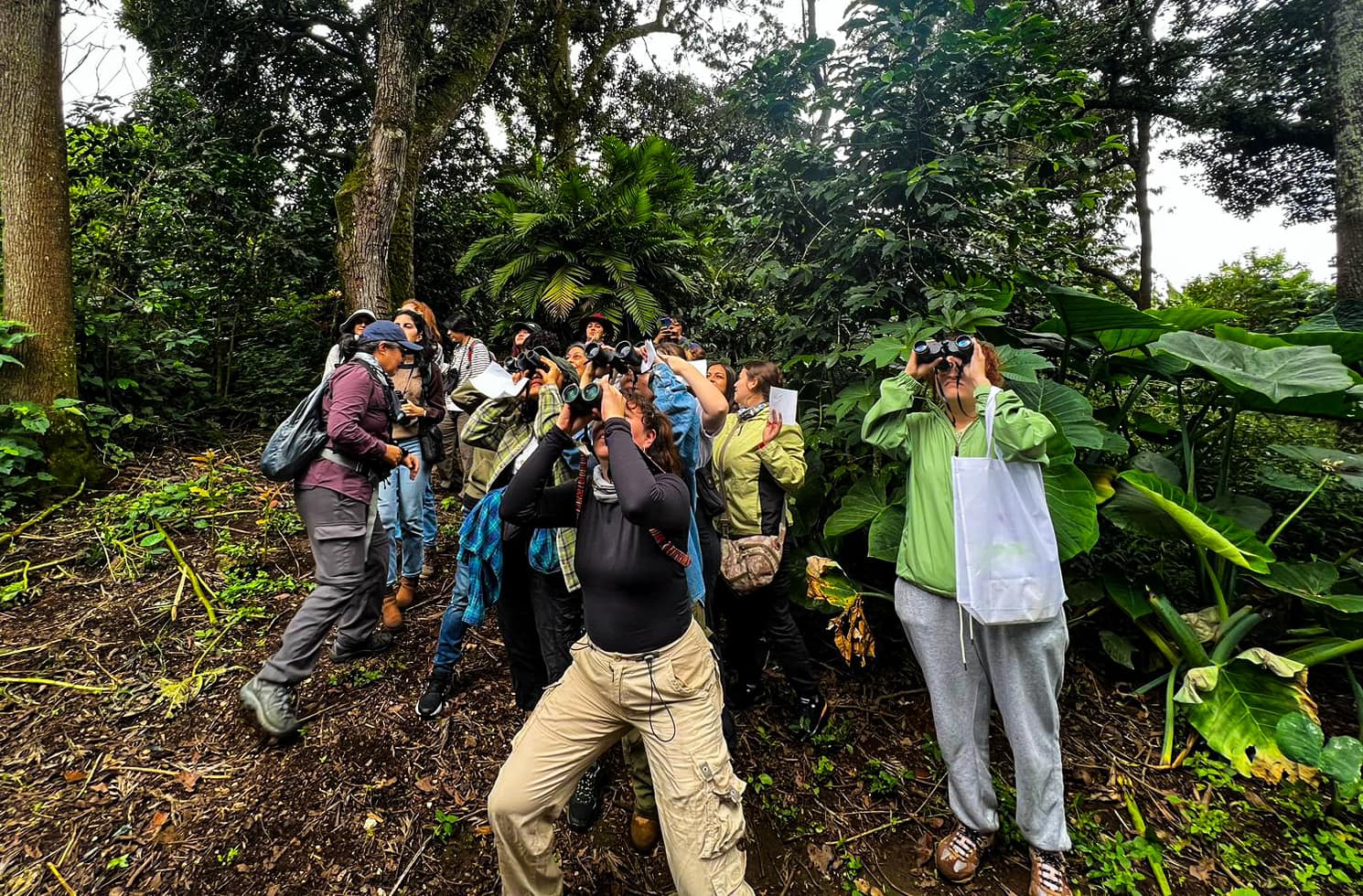 Mujeres participan en avistamiento de aves. /Foto: Inguat