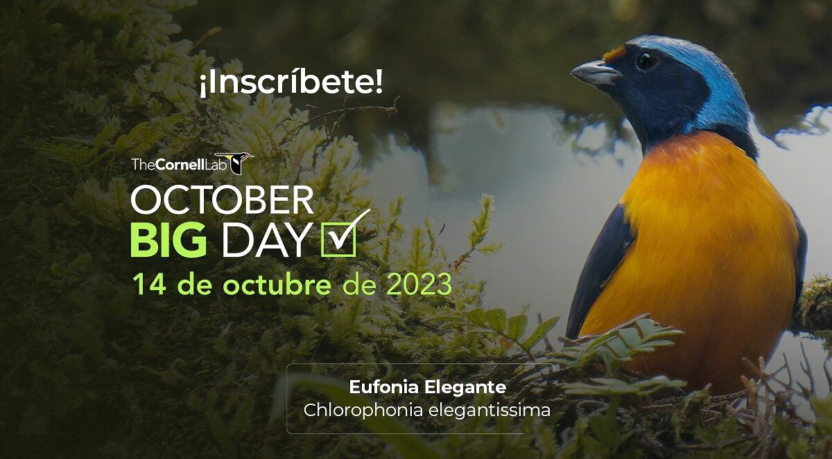 Celebración a la observación de aves. /Foto: Inguat