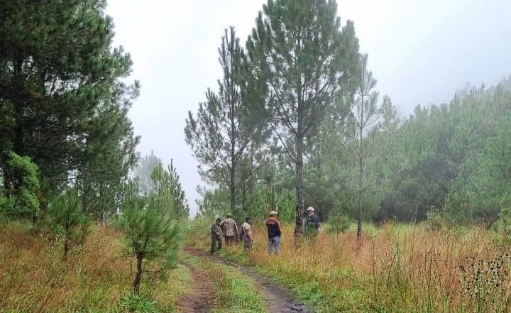 Articulan esfuerzos para la conservación de bosques de Totonicapán