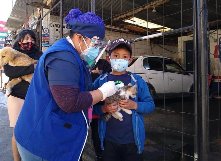 Invitan a llevar a sus mascotas a la jornada de vacunación antirrábica en Totonicapán