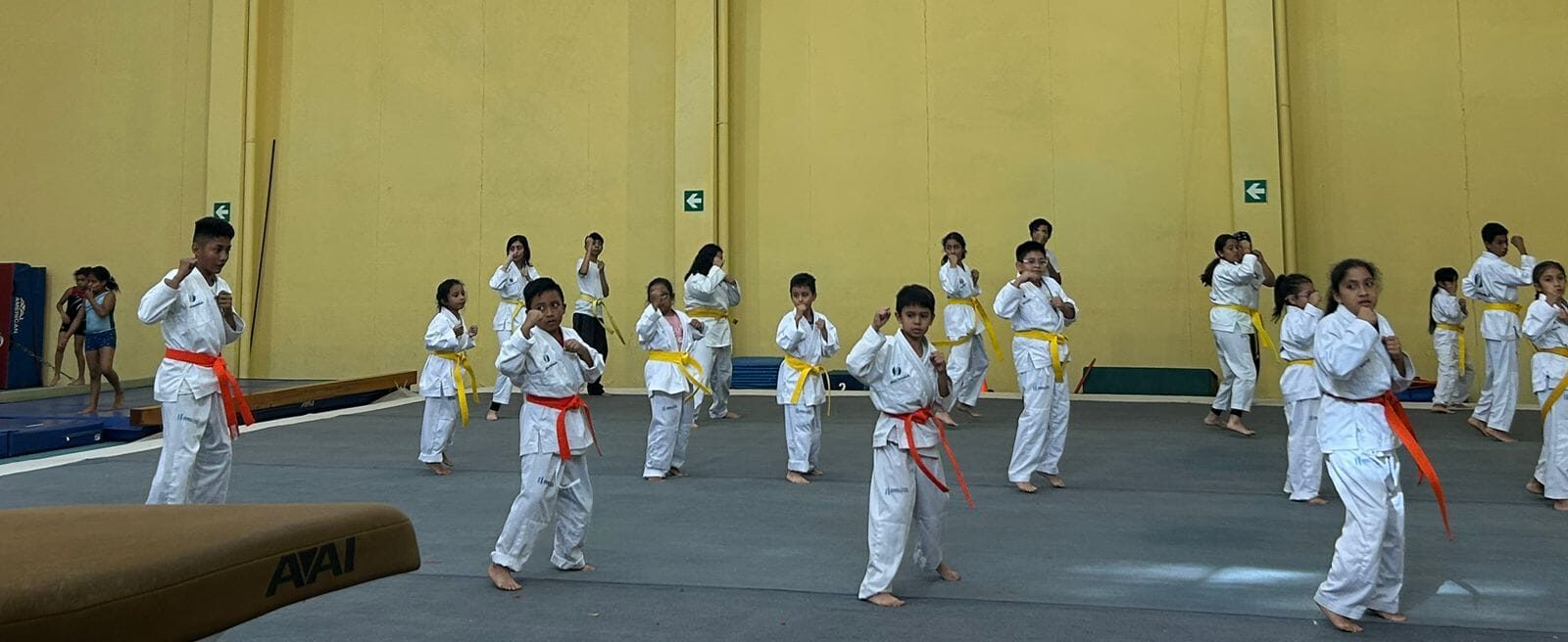 Más de 200 beneficiados en academias de karate del MCD