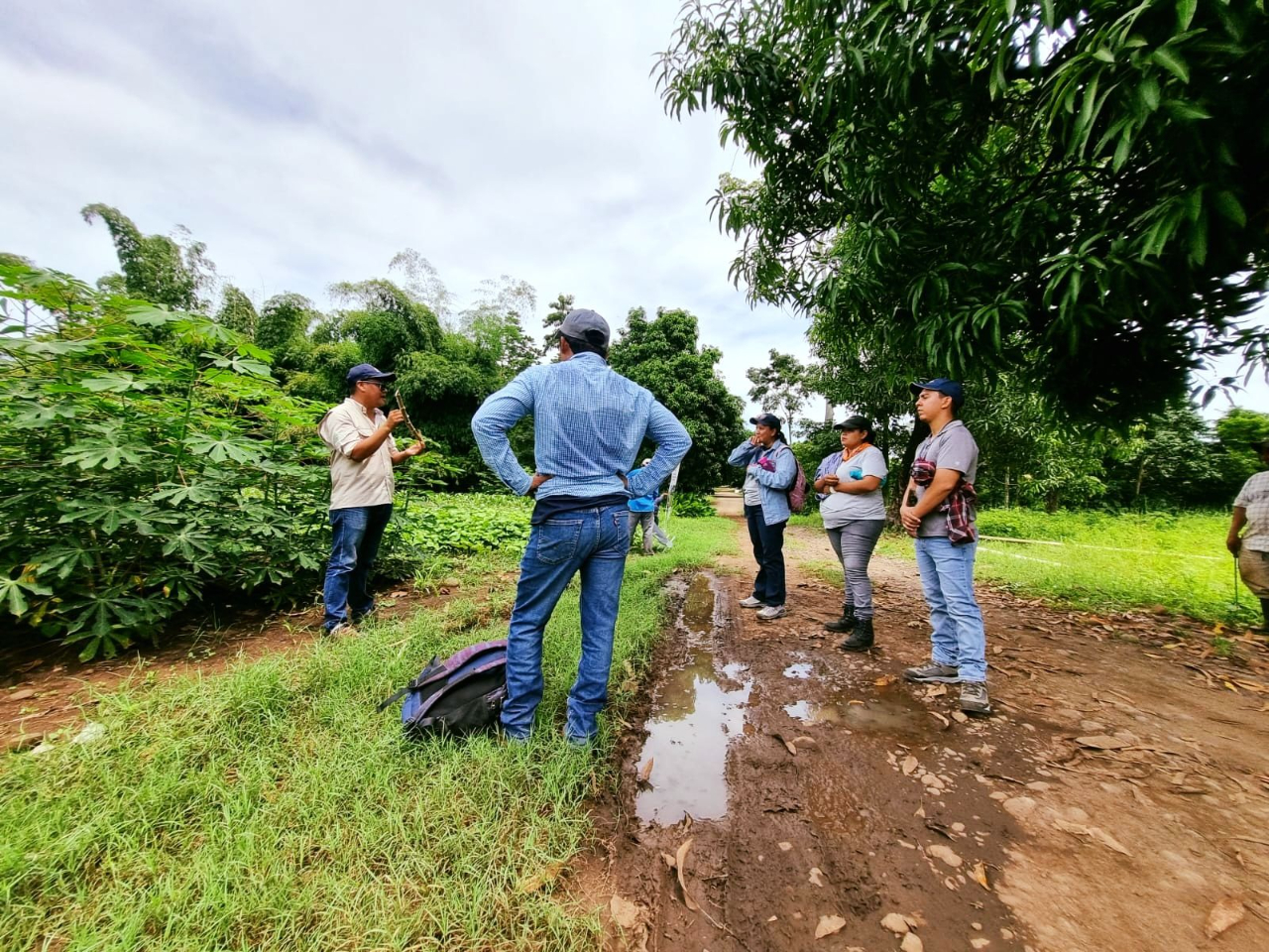 ICTA y FUNDAP aportando a la agricultura en Guatemala