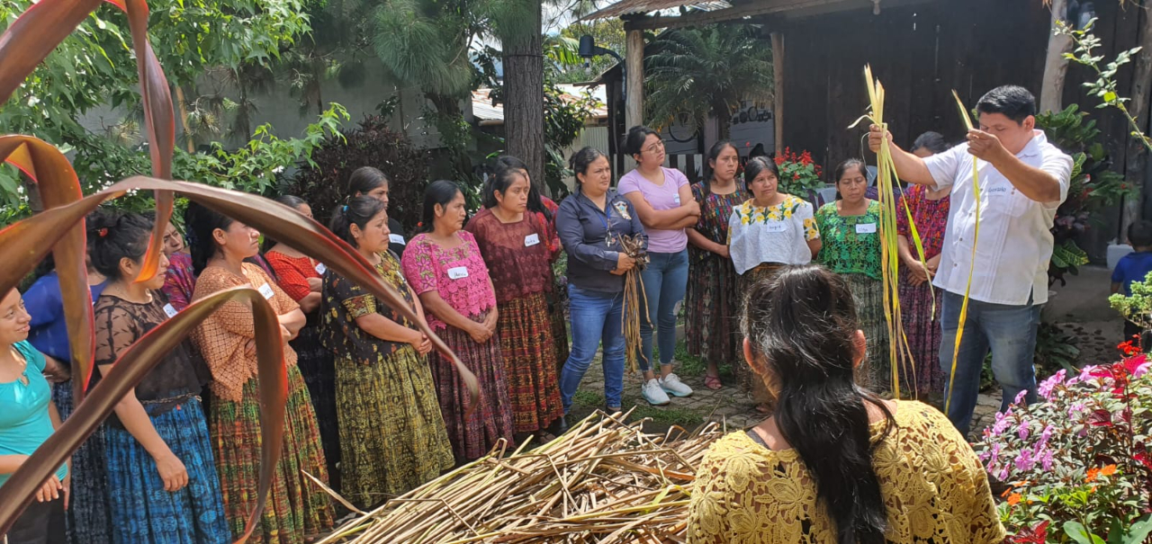 El lirio acuático cambia de plaga a recurso valioso en San Cristóbal Verapaz