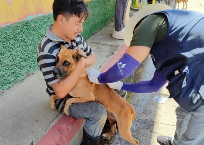 MSPAS prevé la inoculación de más de 3 millones de perros y gatos