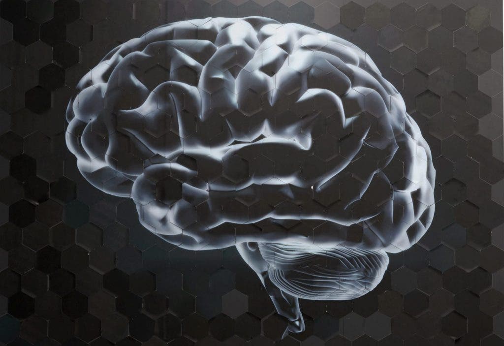 Herramienta con IA detecta patrones sobre gliomas malignos. / Foto: EFE.