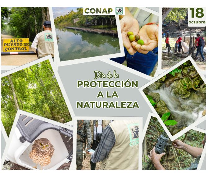 Naturaleza