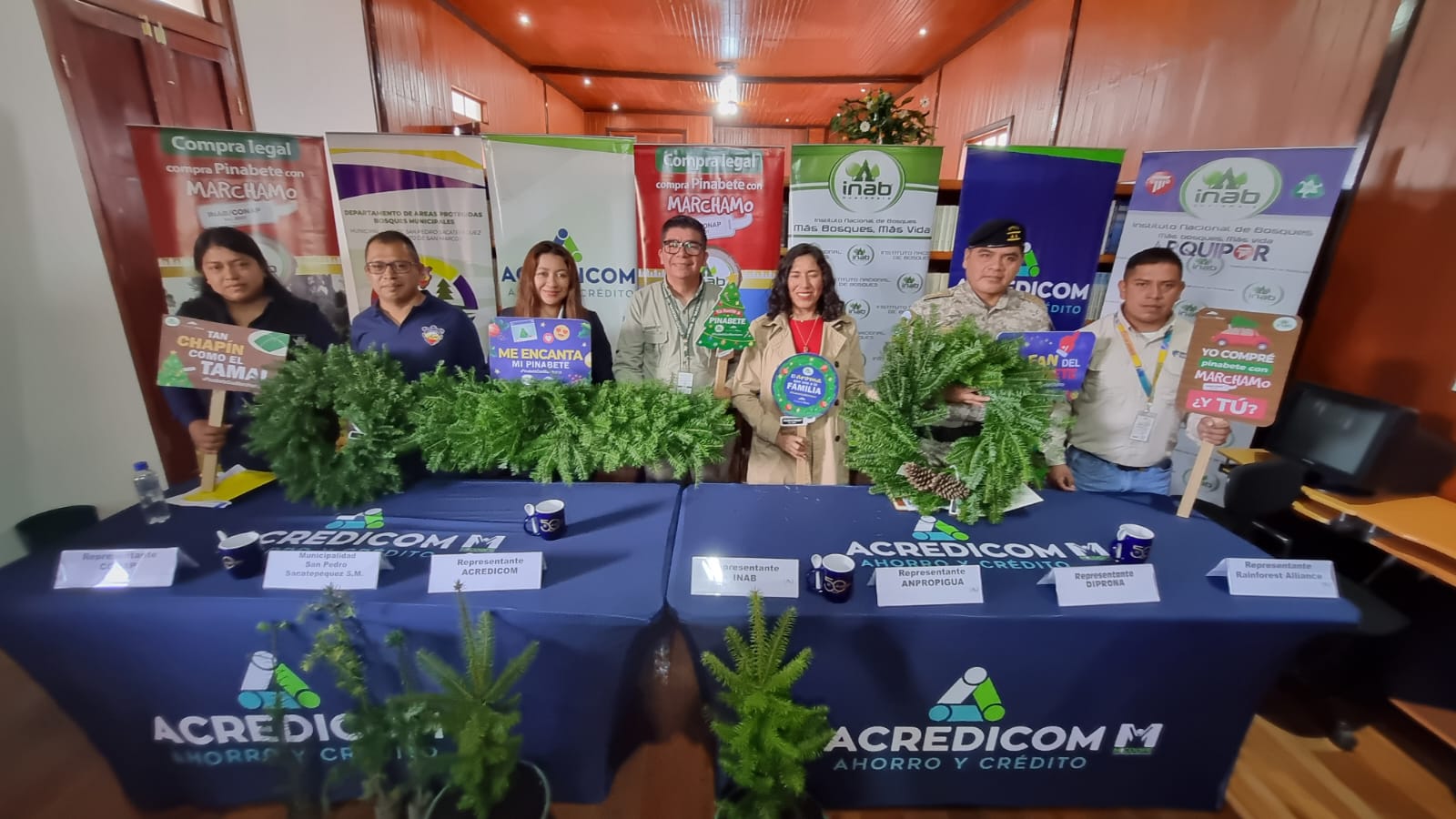 Se inician acciones para control y conservación del pinabete en San Marcos