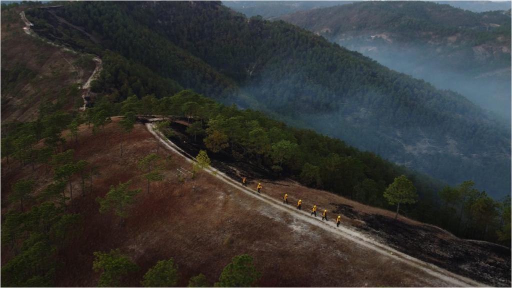 Presentan informe final por temporada de incendios forestales