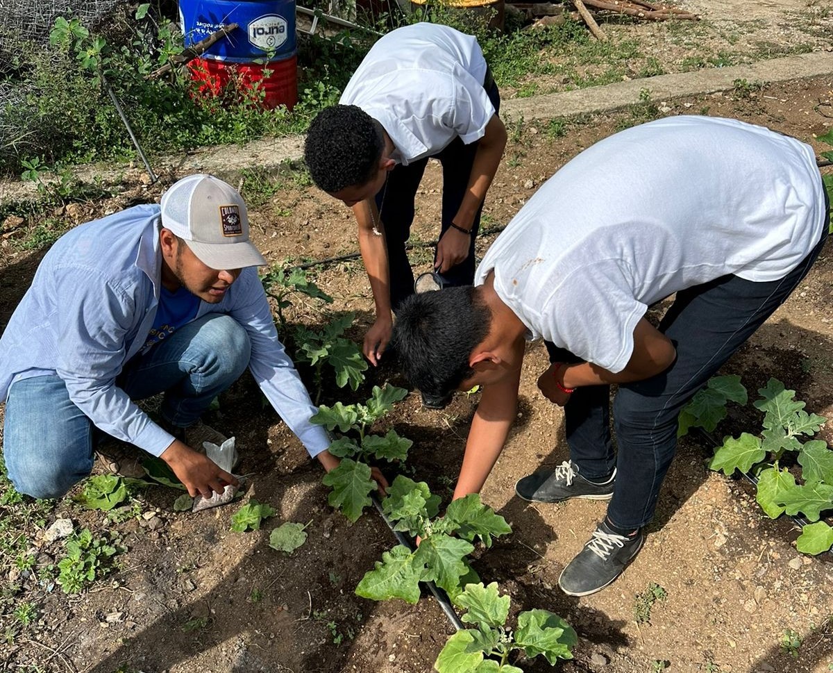 Fomentan la agricultura sostenible en San Juan, Zacapa