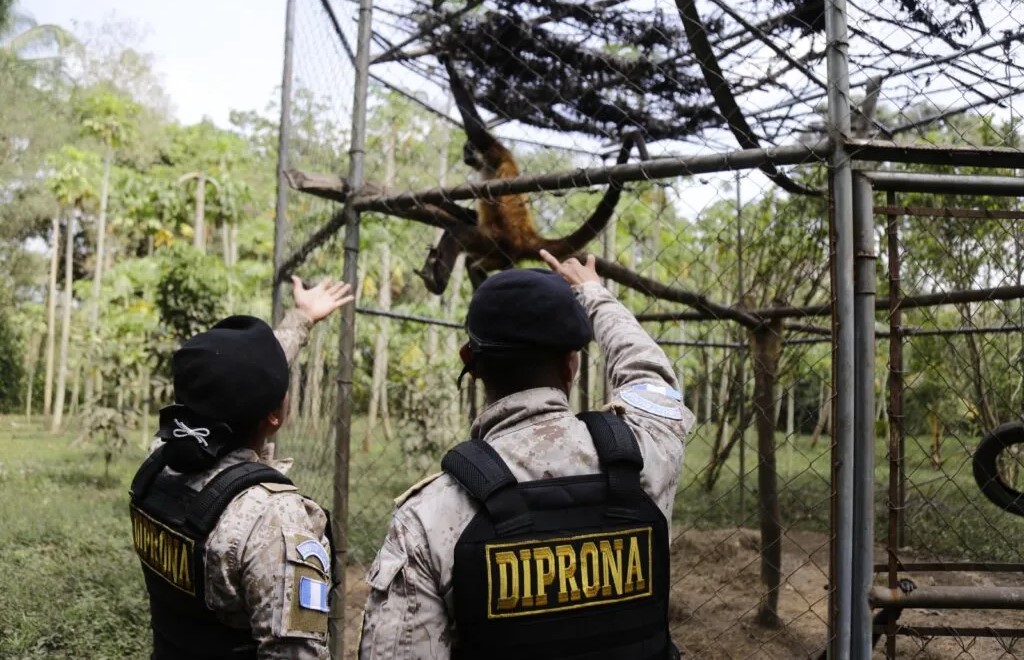 Diprona vela por la conservación de la flora y la fauna. /Foto: Mingob