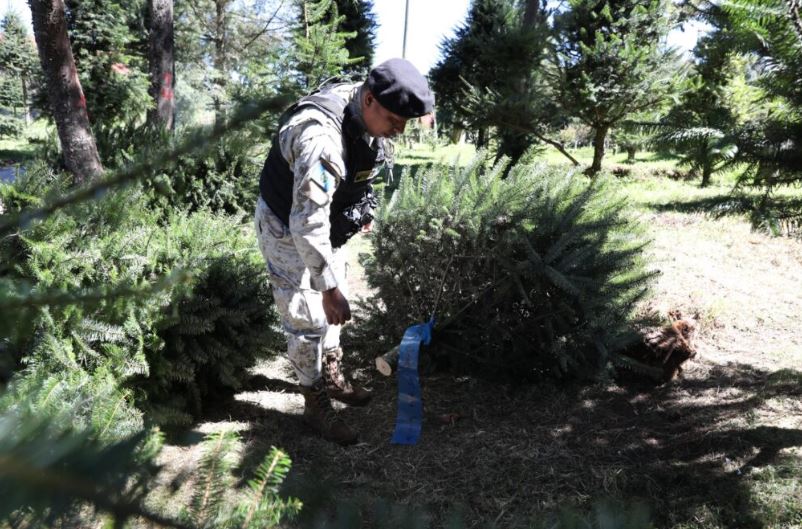 Agentes de la División de Protección a la Naturaleza (Diprona) de la Policía Nacional Civil (PNC) supervisando en el departamento de Chimaltenango.// Foto: Diprona.