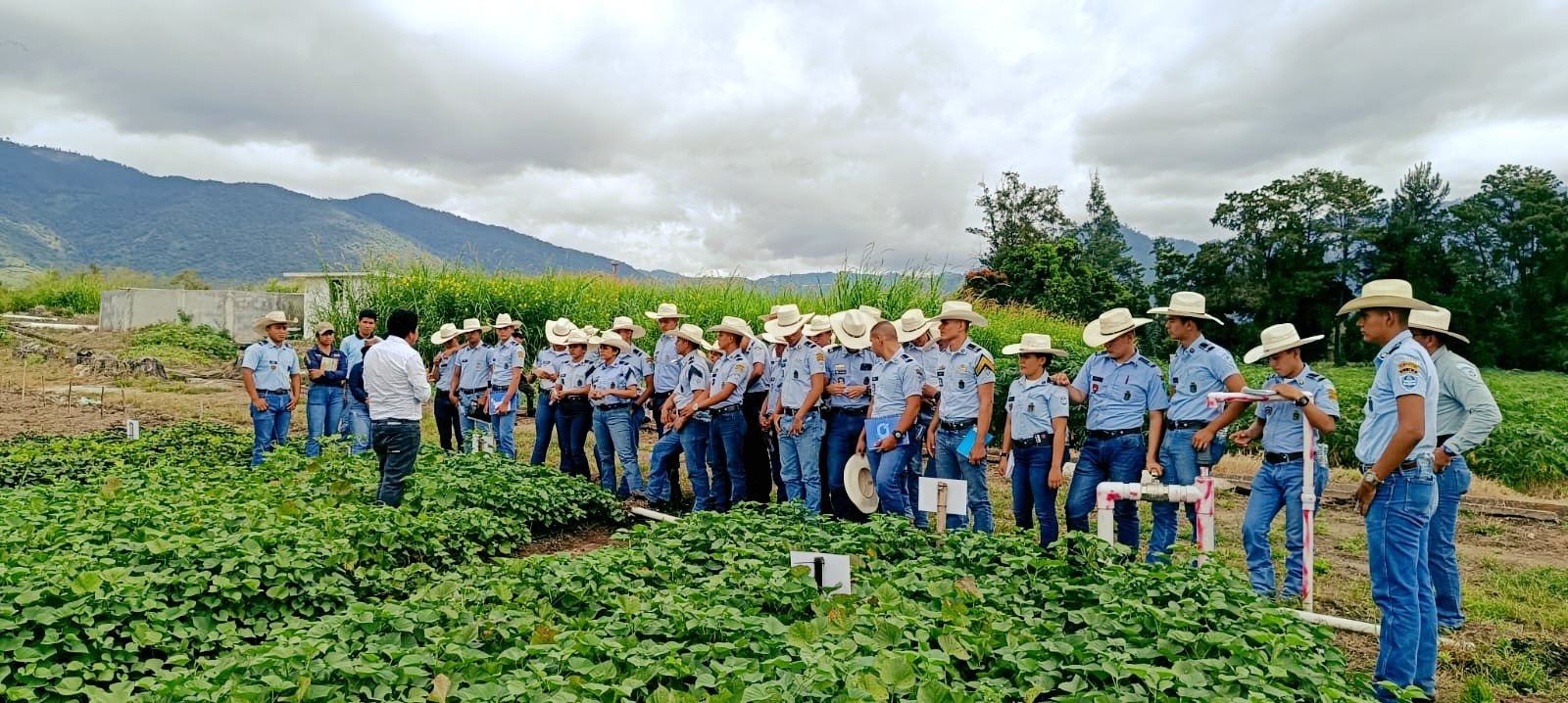 Estudiantes se sumergen en el campo agronómico. / Foto: MAGA.