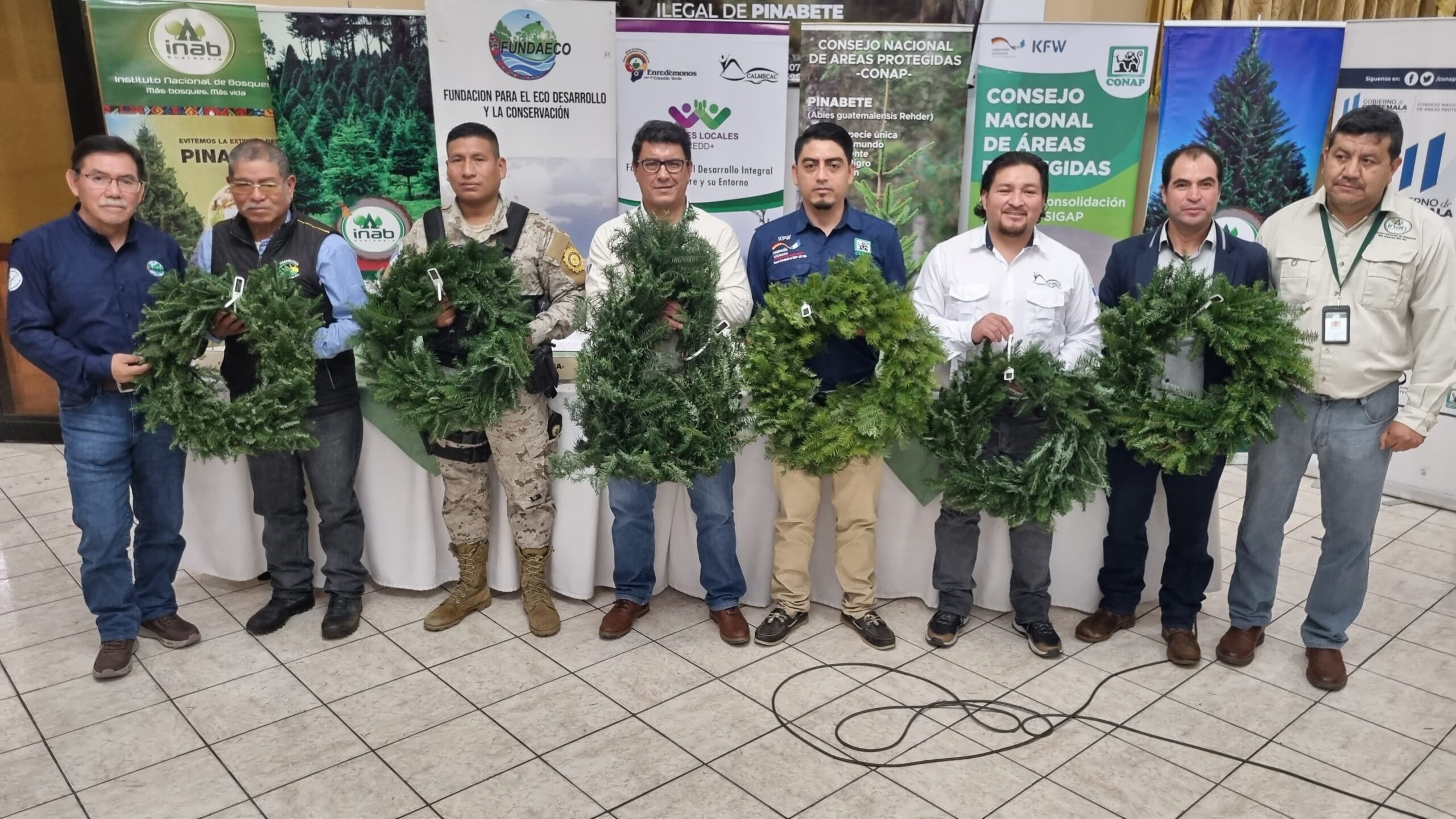 Impulsan campaña de conservación de pinabete en Huehuetenango