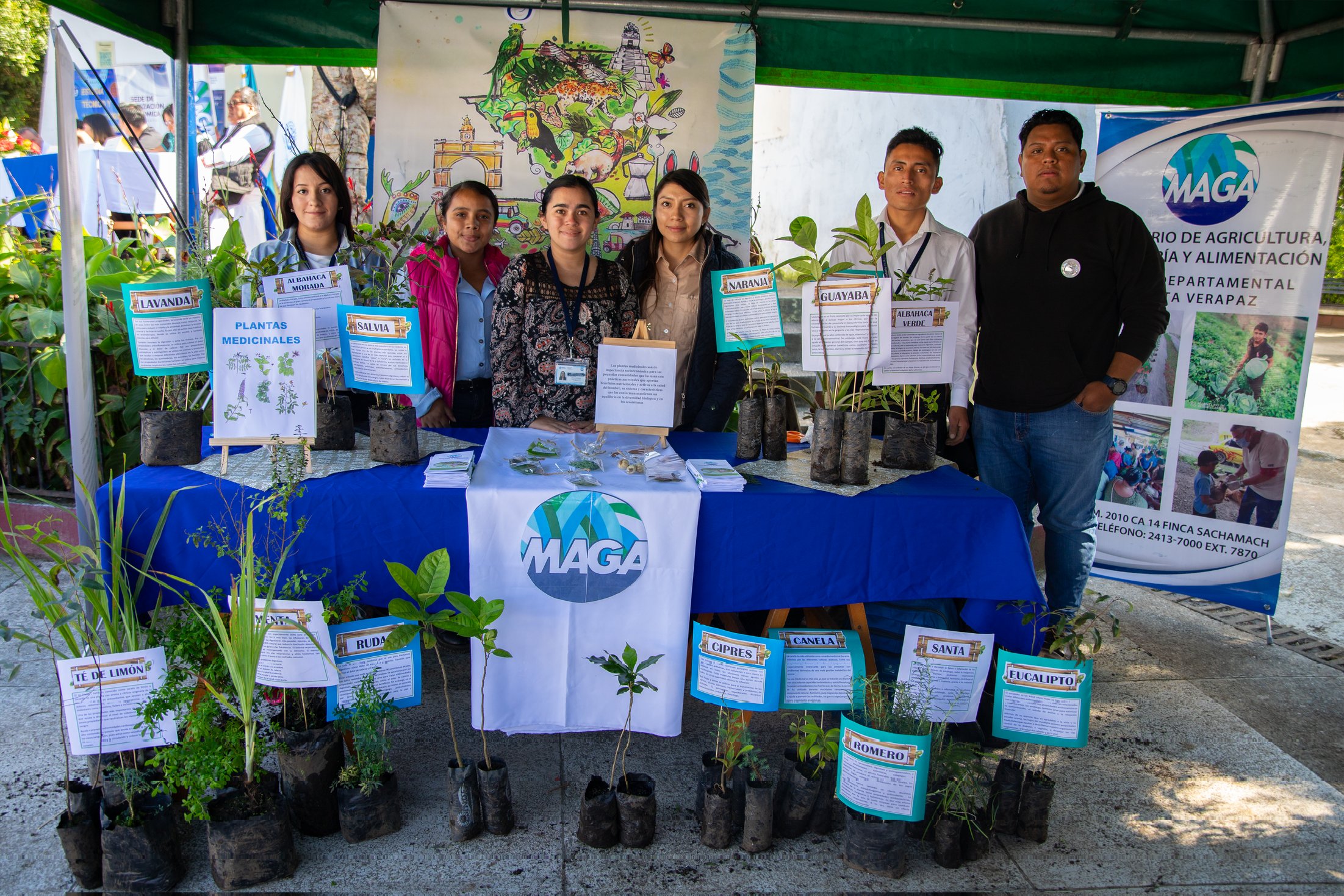 Promueven huertos medicinales y nutritivos en Alta Verapaz