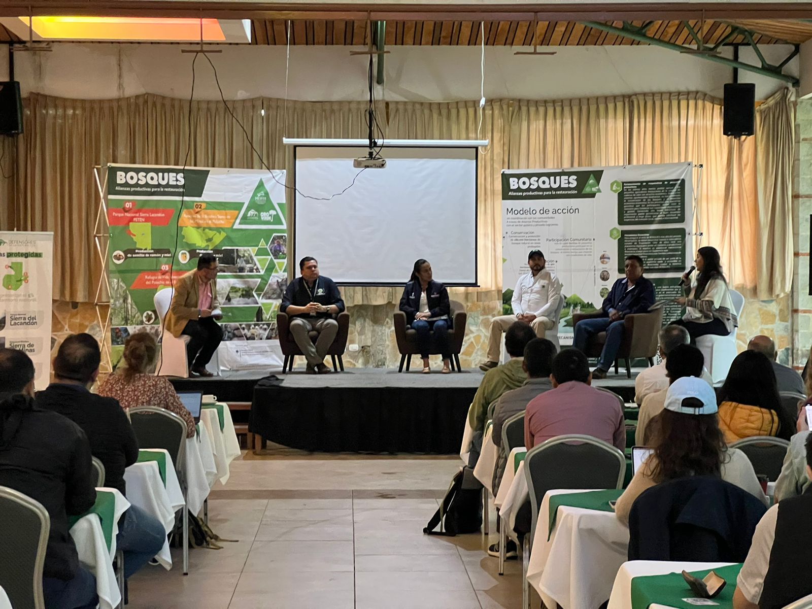 Alta Verapaz contribuye a la protección del medio ambiente