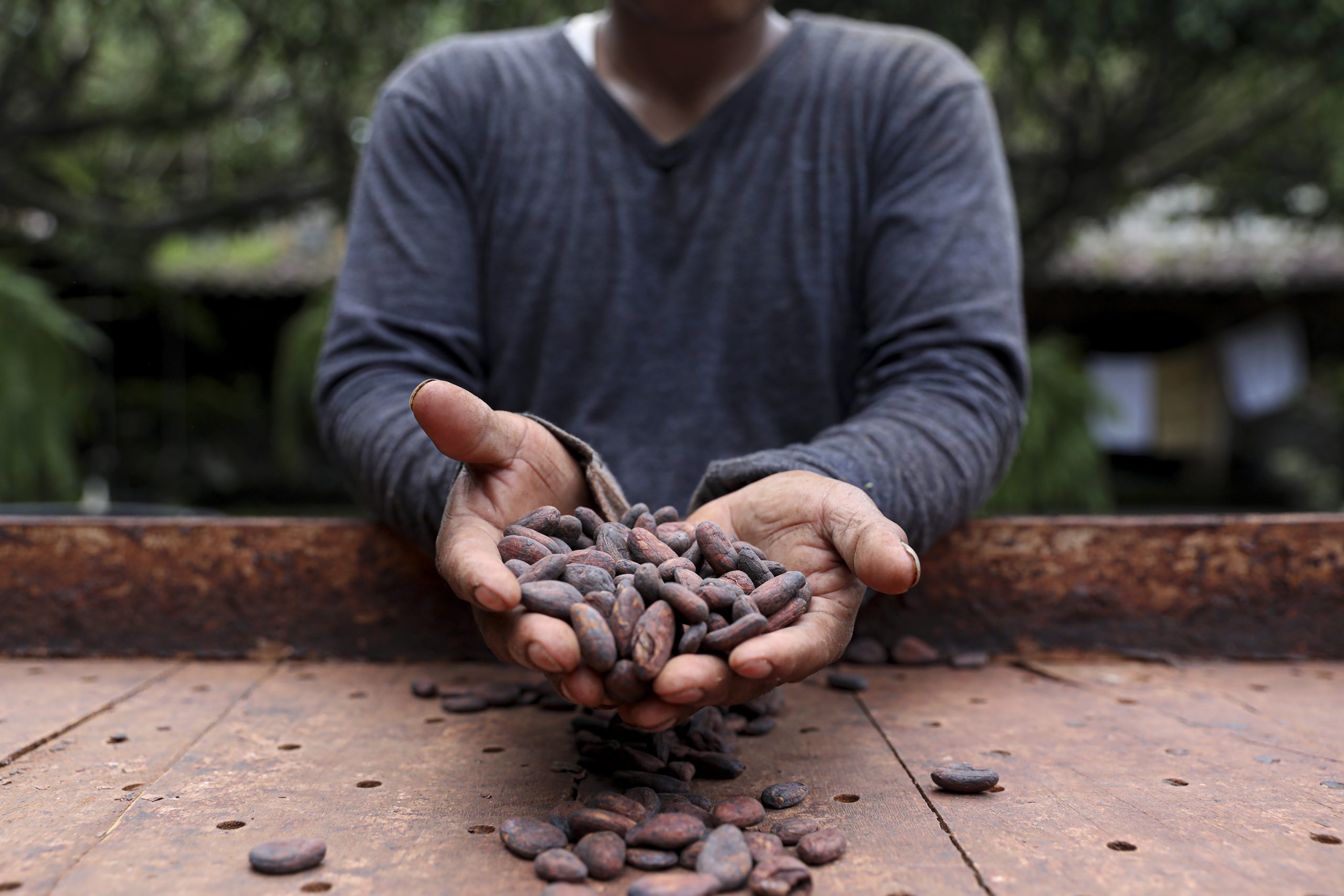 Festival del Chocolate se lleva a cabo en México. / Foto: DCA.