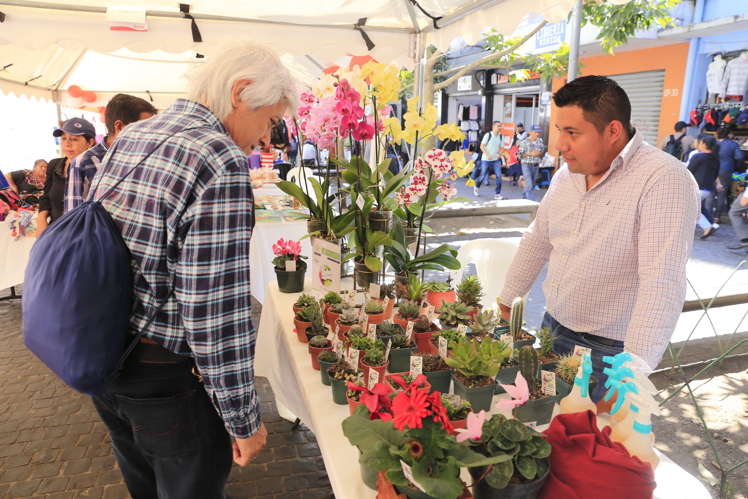 Por primera vez, más de 32 mil mipymes pasarán a la formalidad. /Foto: DCA.