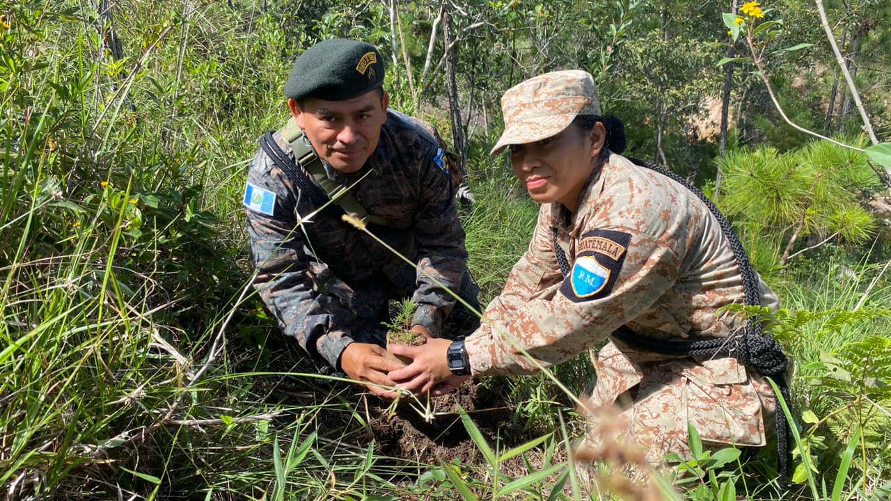 Soldados contribuyeron a la plantación de árboles. /Foto: Ejército de Guatemala