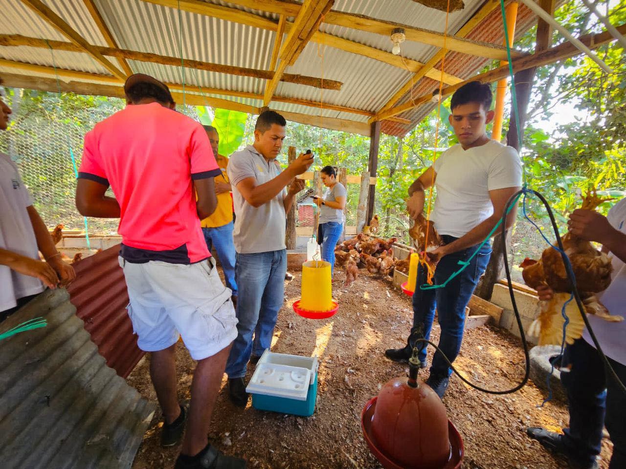 MAGA impulsa la sanidad avícola en Petén