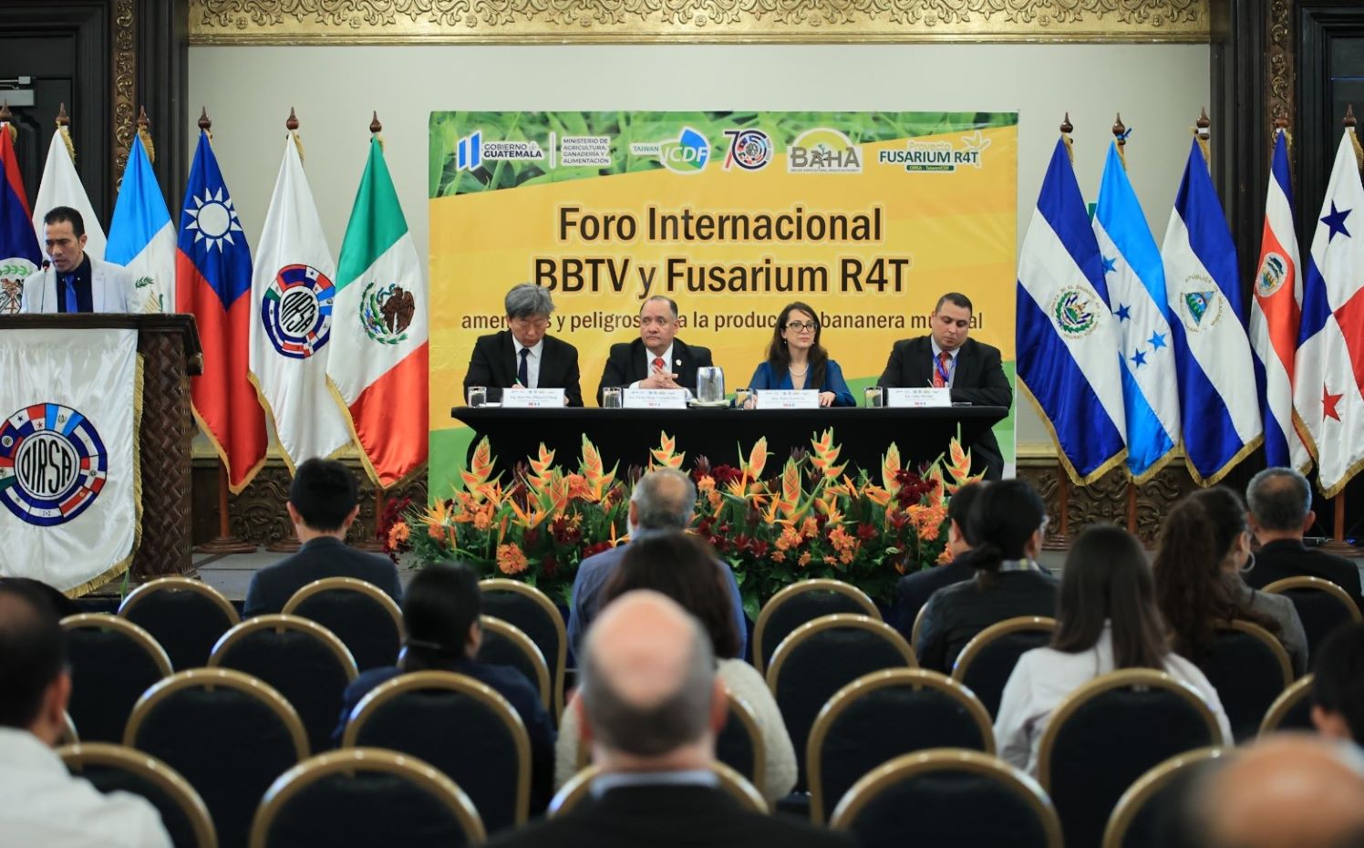 Foro internacional aborda amenazas para la producción bananera