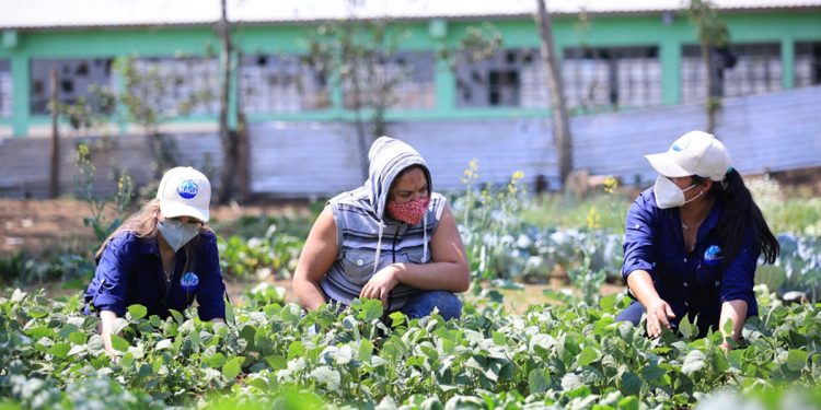 Por Primera Vez: Se otorgan más de 384 millones de quetzales para desarrollo rural
