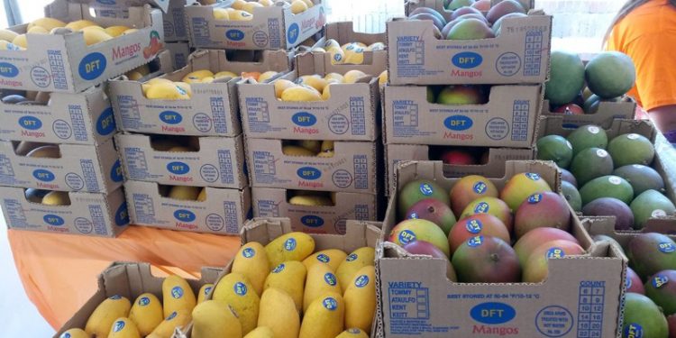 MAGA ha emitido más de un millón de permisos de sanidad animal y vegetal