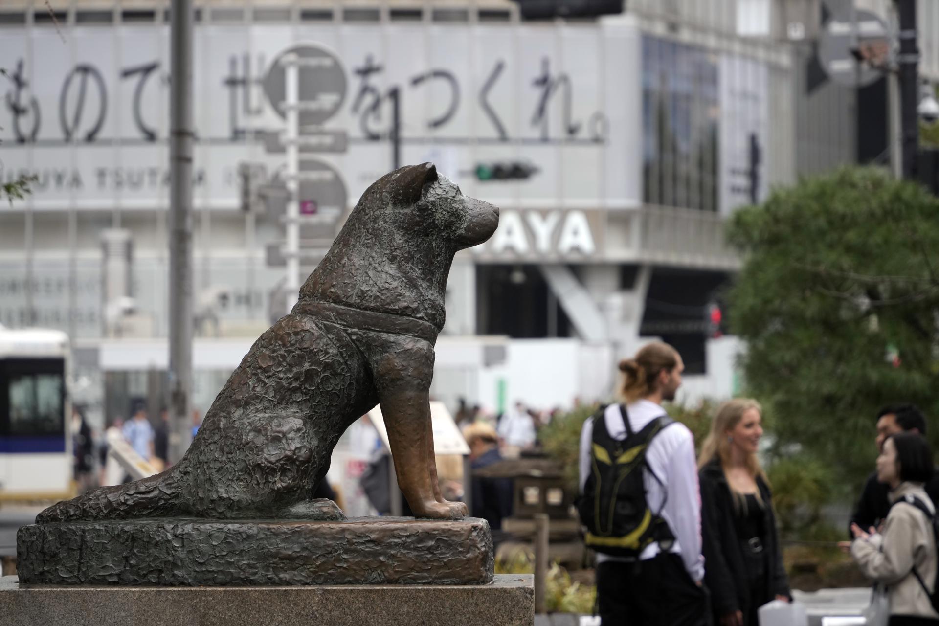 Turistas hacen fila para tomarse foto con la estatua de Hachiko. / Foto: EFE.