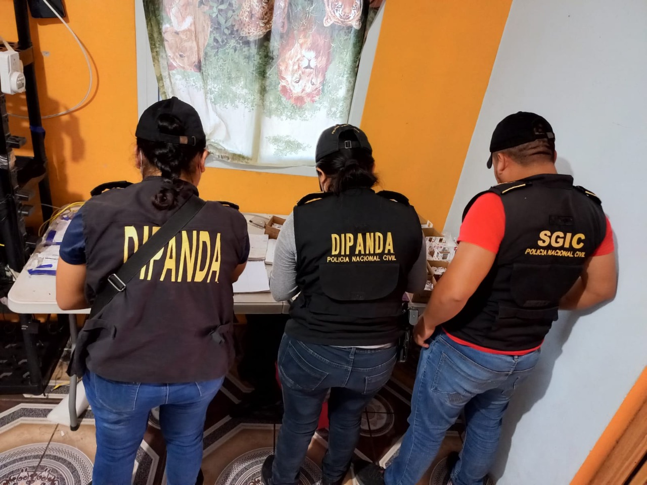 En 4 años de gobierno: 297 estructuras criminales han sido desarticuladas