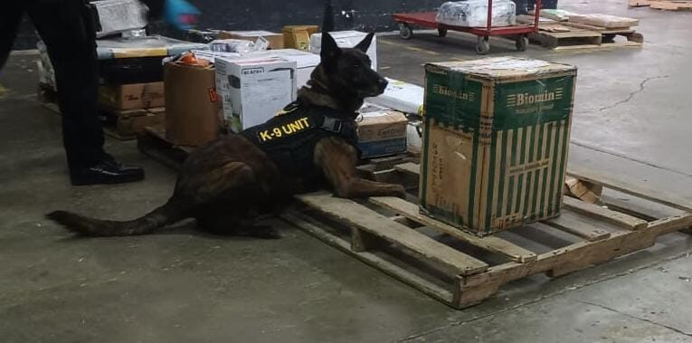 Desarticulan red de narcotráfico&nbsp;y decomisan drogas valoradas en 10 mil 125 quetzales