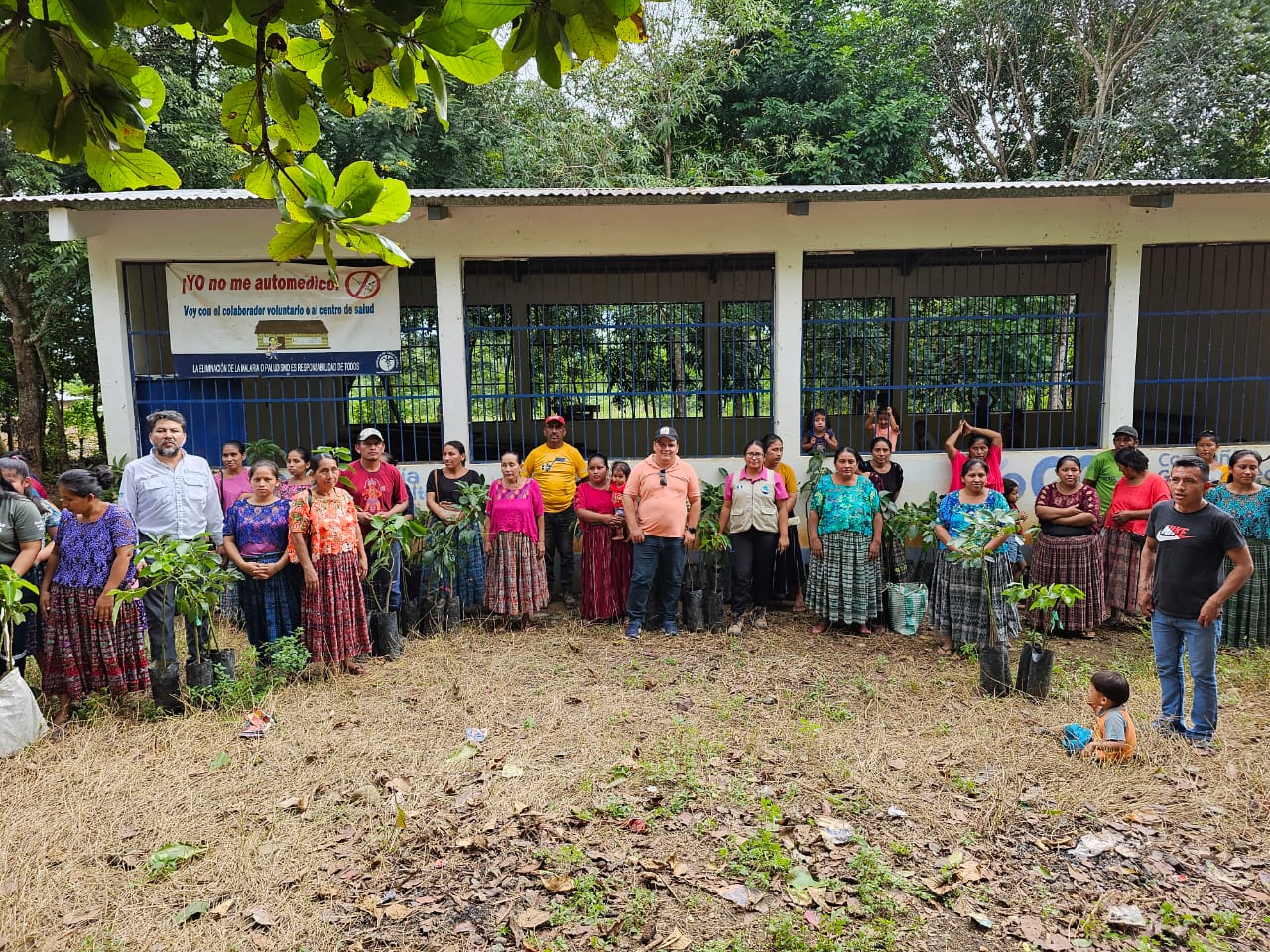 MAGA beneficia a 100 familias de Izabal con plantas de aguacate