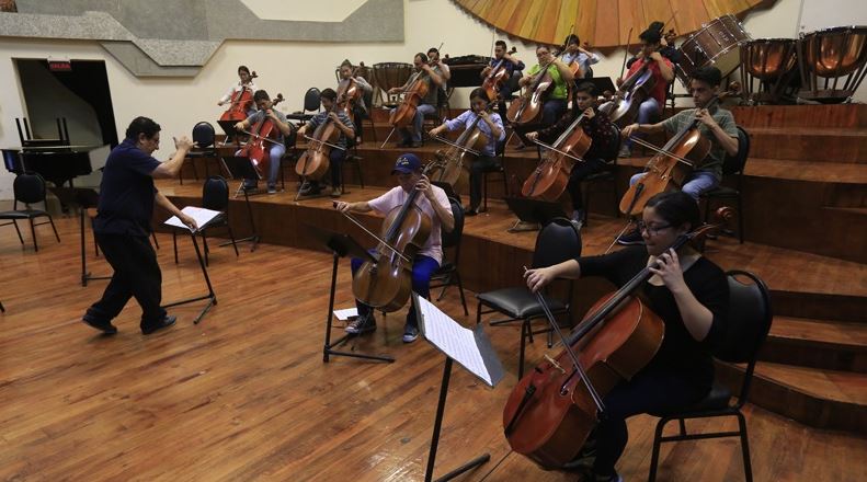 arte del violoncello