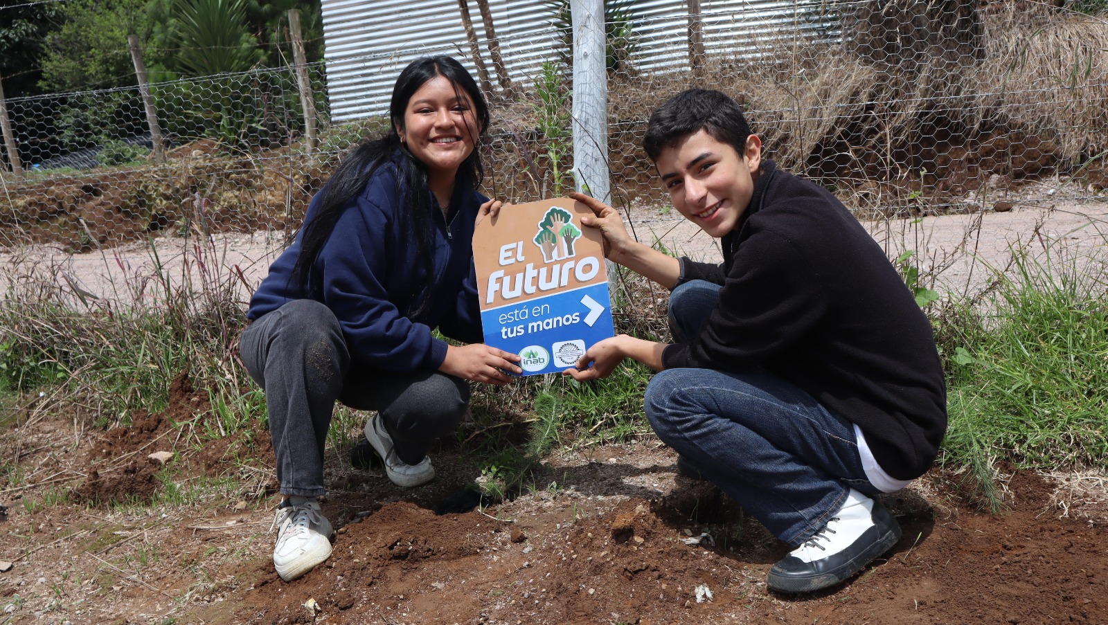Sembrando Huella logró plantar más de 420 mil árboles este año