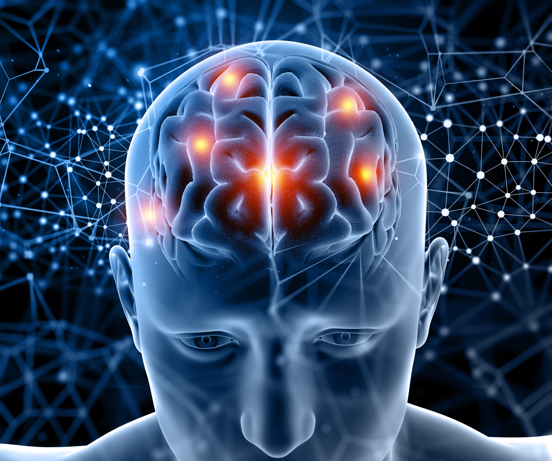Descifran los circuitos neuronales implicados en la toma de decisiones