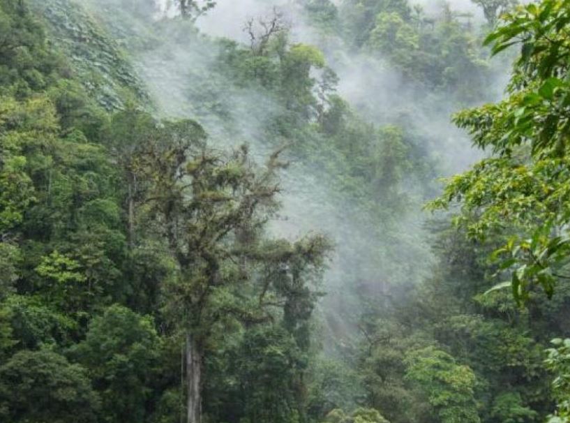 MARN anuncia el Quinto Congreso Nacional de Cambio Climático 2024