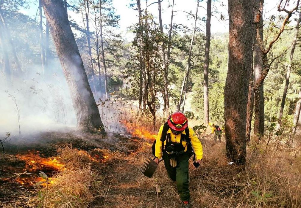 Conap invita a informarse y concientizar para prevenir incendios forestales