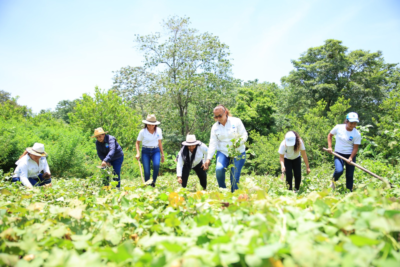 MAGA fomenta la educación en el sector agrícola