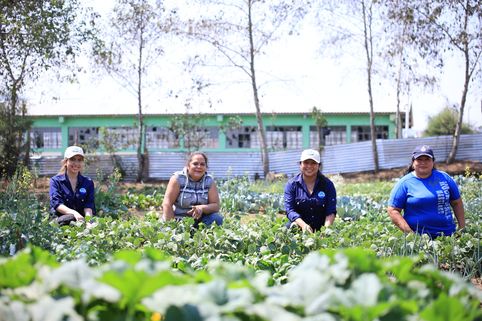 MAGA fortalece la agricultura familiar en el último cuatrimestre del 2023