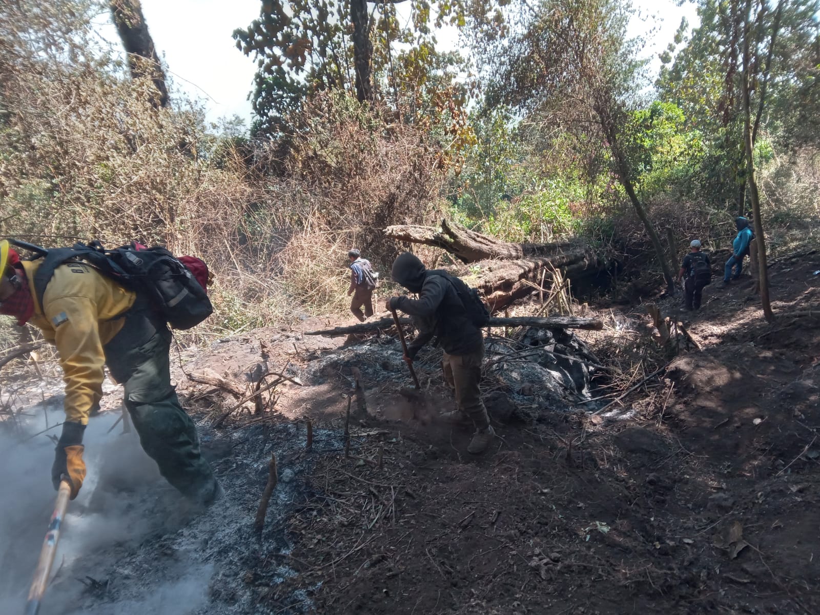 Finalizan acciones operativas de control y liquidación de incendio forestal en Nahualá, Sololá