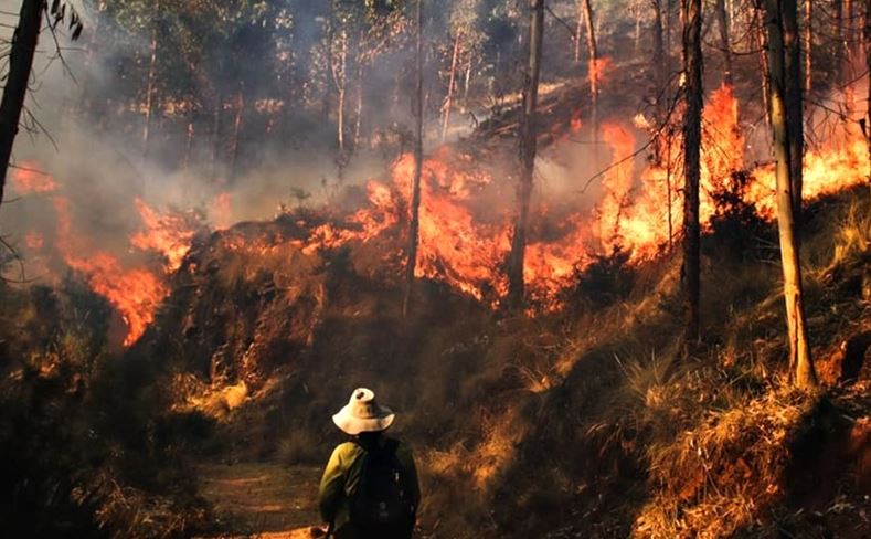Incendio Inab