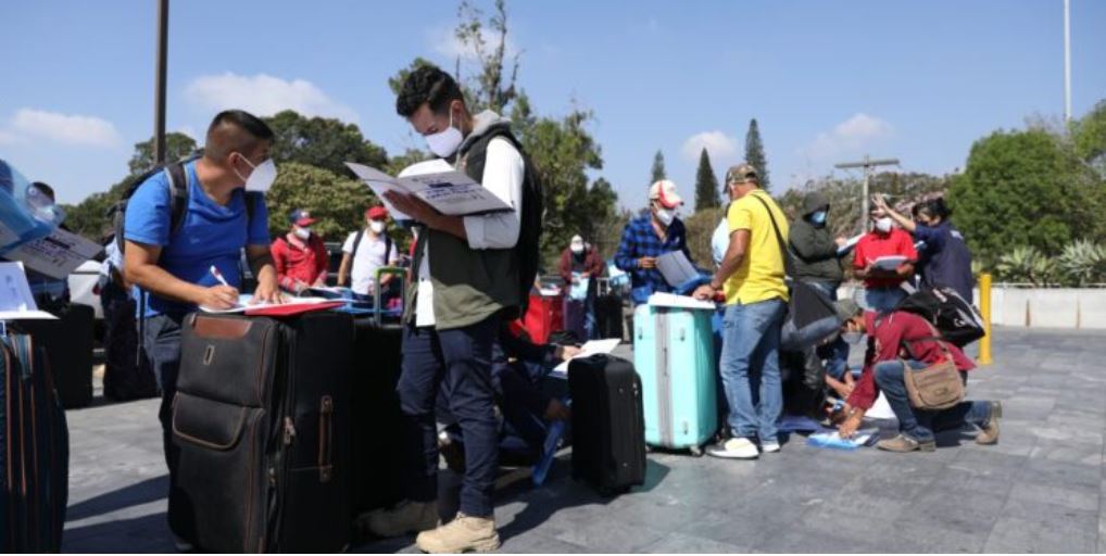 Mintrab: Los servicios de movilidad laboral que ofrece son gratuitos