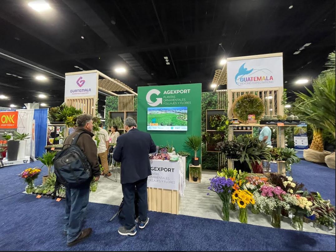 Promueven empresas de plantas ornamentales en Estados Unidos. / Foto: Agexport.