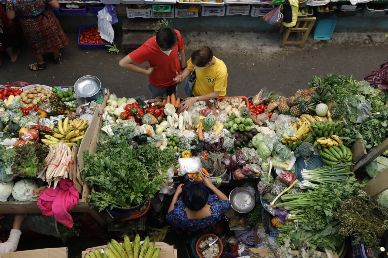 Al menos 15 productos de la canasta básica presentan precios favorables