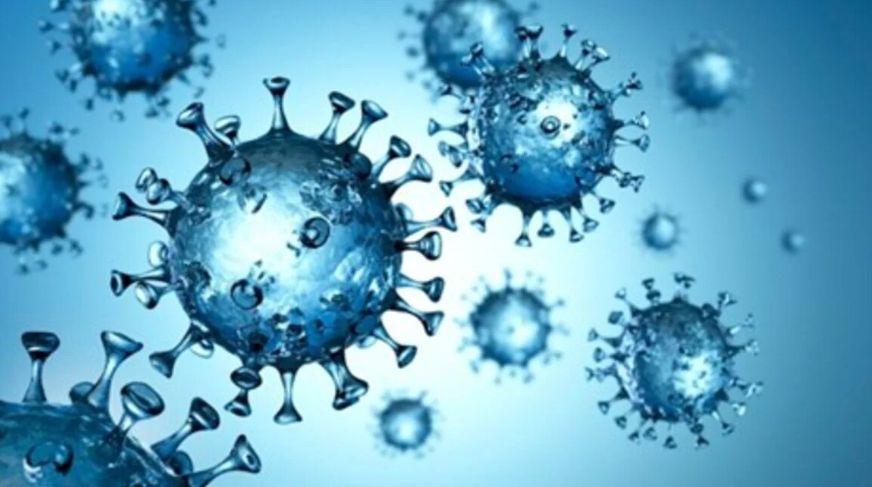COVID persistente: identifican posibles biomarcadores en sangre para su diagnóstico