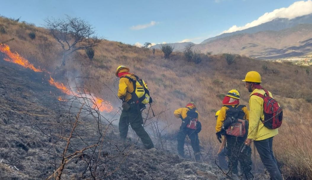 Cuatro incendios se han registrado en las últimas horas