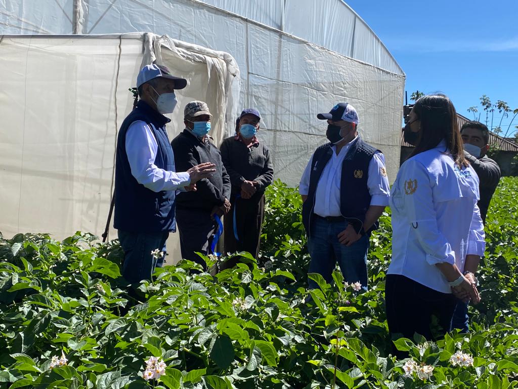 En 2024, el MAGA otorgará insumos a pequeños agricultores