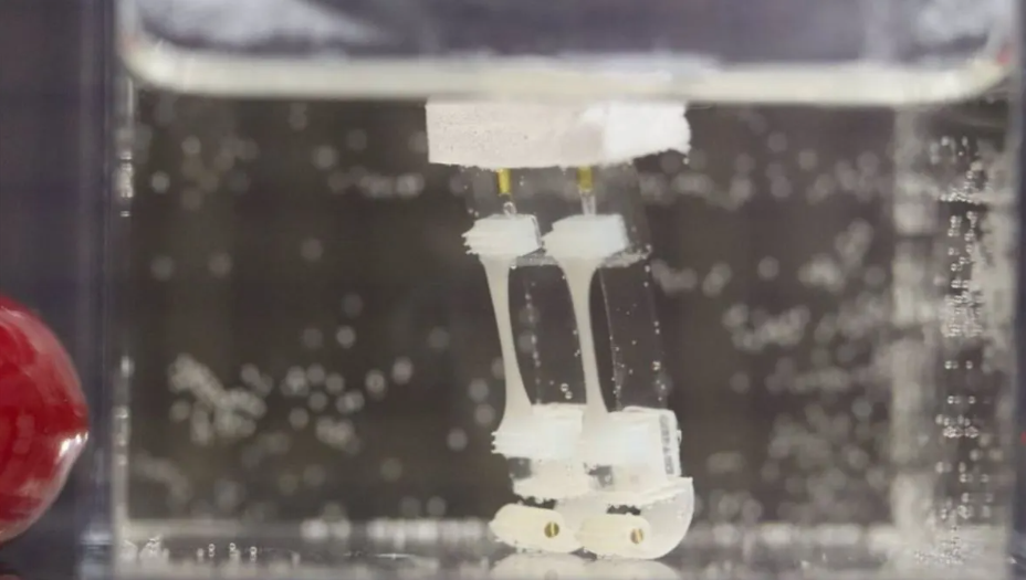 Diseñan un robot de dos patas capaz de caminar, detenerse y girar