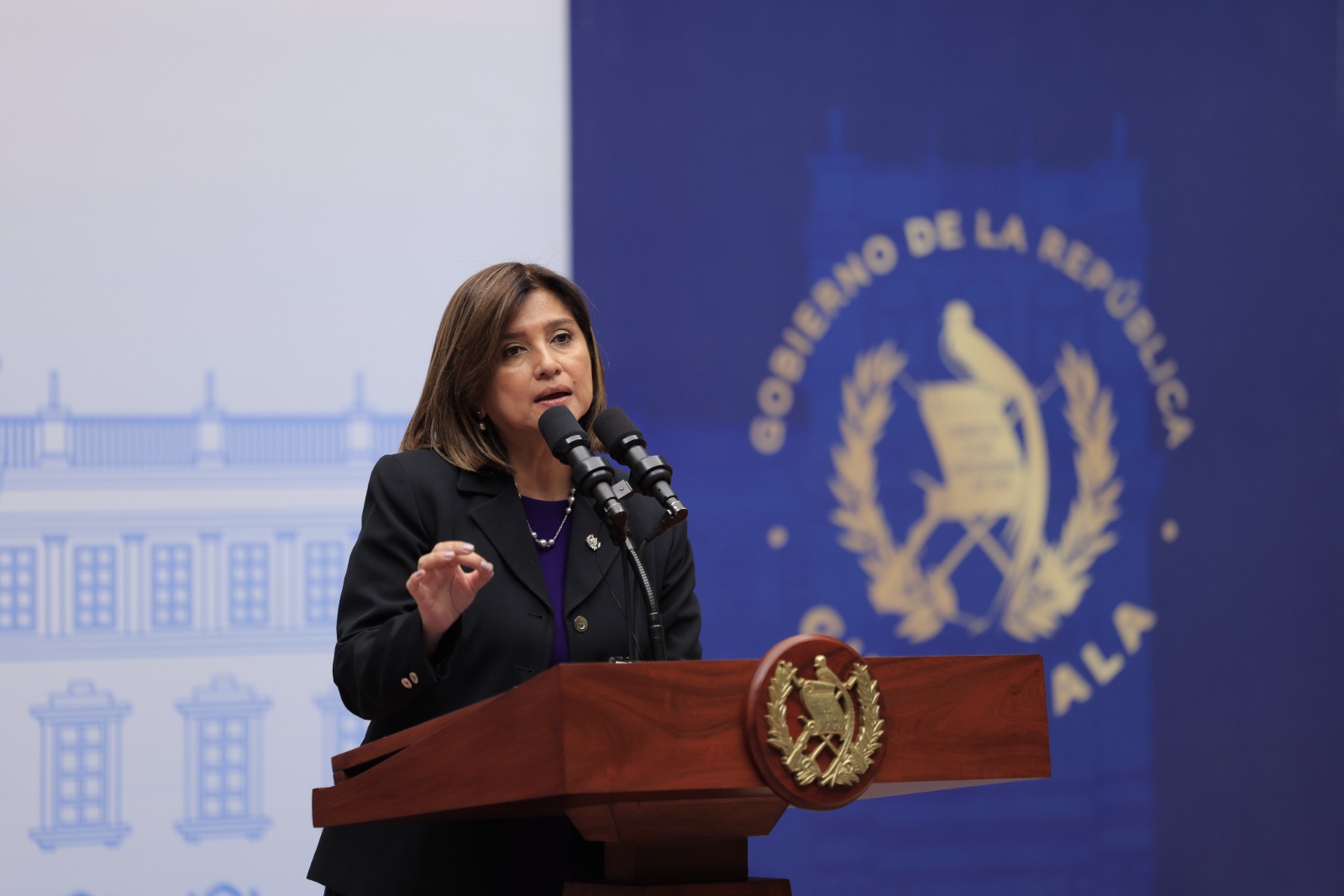 Ejecutivo coordina esfuerzos para el combate de incendios forestales