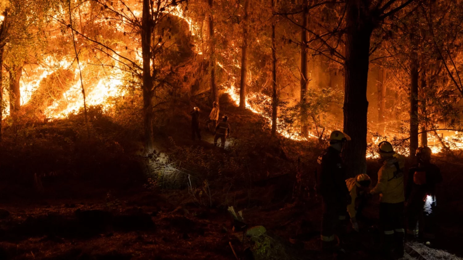 Incendios en Chile ya dejan 131 muertos; México envía ayuda