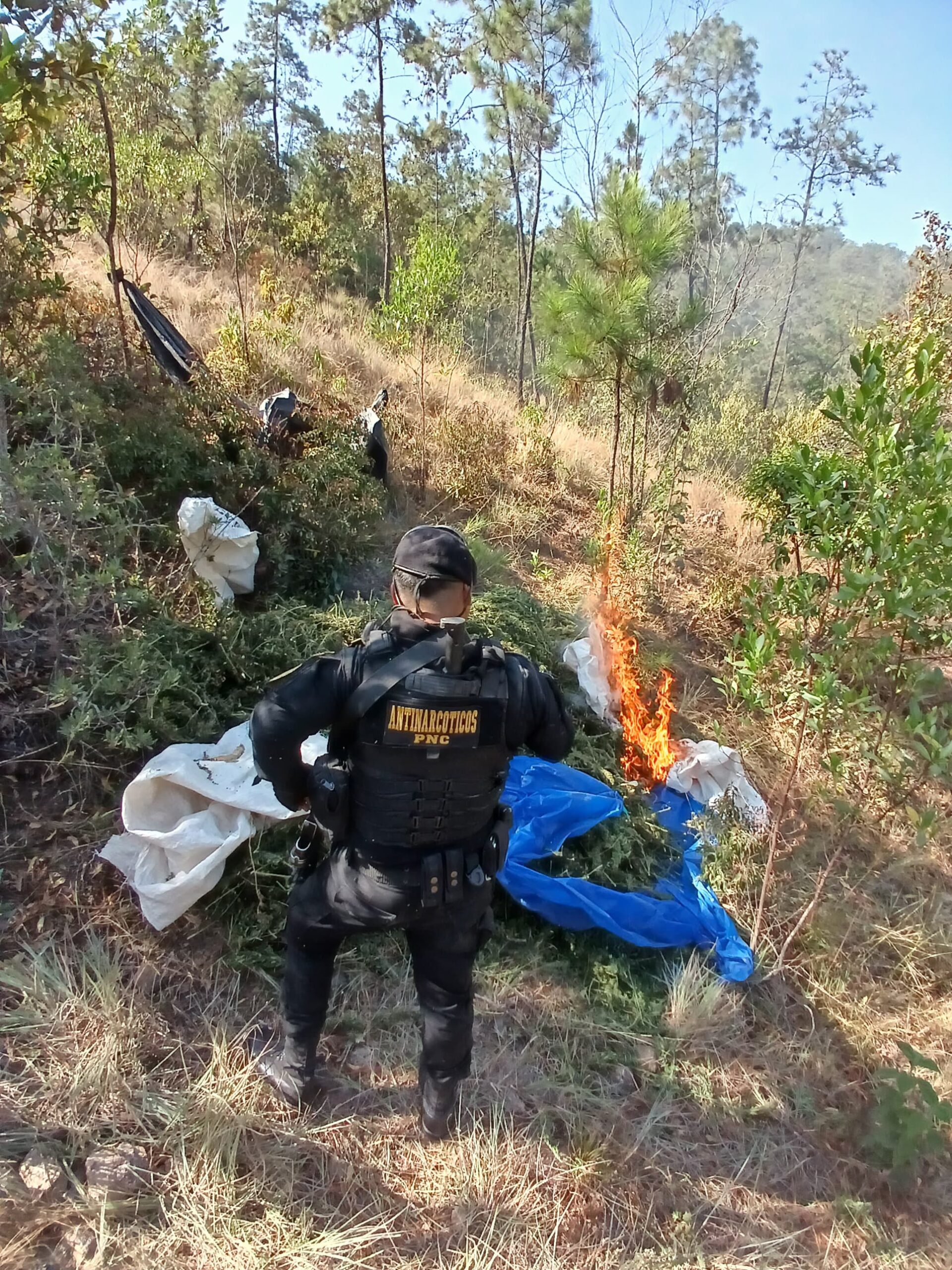 Erradican e incineran laboratorio de marihuana en Totonicapán